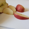 apple - arturo .jpg