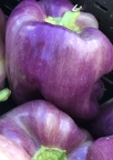 Peter Piper Picked a Peck of Purple Peppers