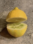 Lemon or Cucumber?