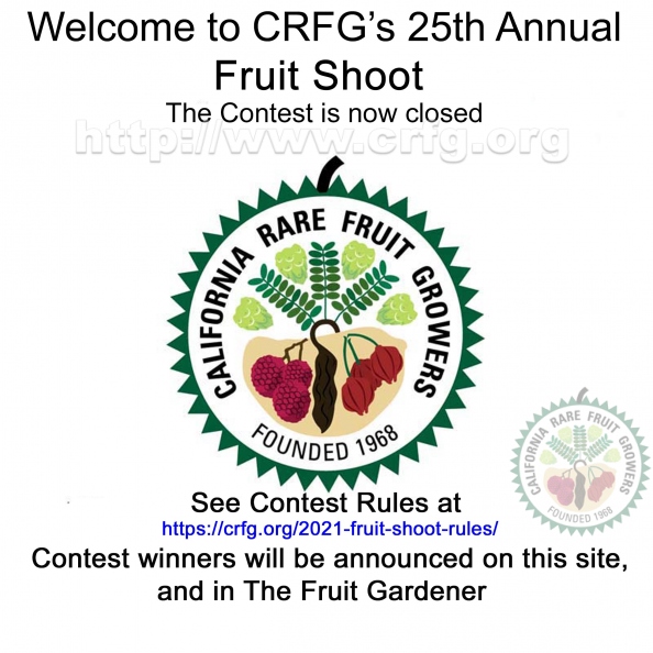 CRFG Contest_25_Closed.jpg