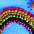 Rainbow of fruits