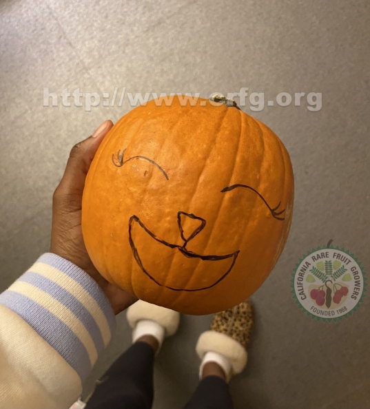 friendly pumpkin