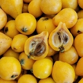 Loquats