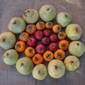 The 3 P's--Pears Pomegranates Persimmons