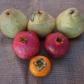 The 3 P's--Pears Pomegranates Persimmons