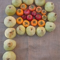 The 3 P's--Pears Pomegranates Persimmons