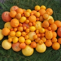 California grown citrus