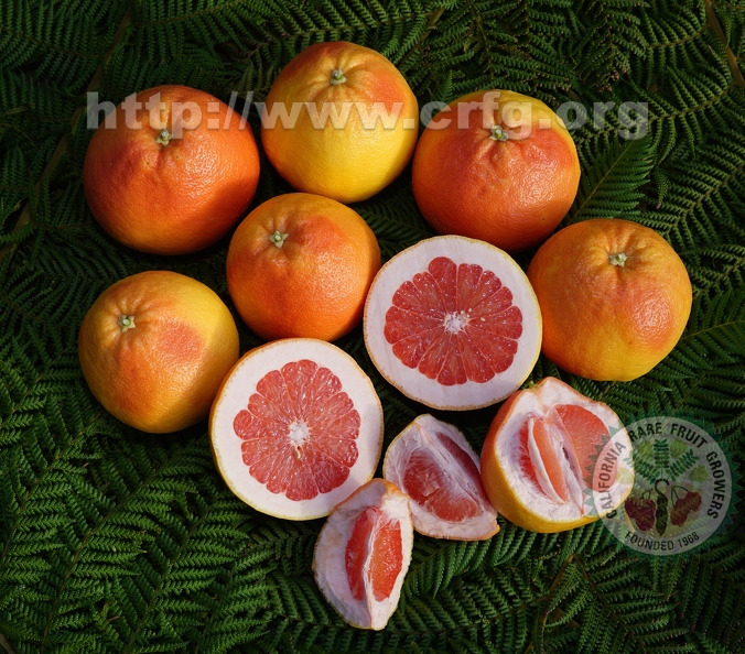 California grown citrus