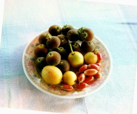 D03_Fruit Plate_Phillipe Laborie